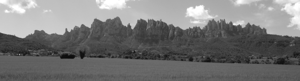 Teresa Forcades i Vila